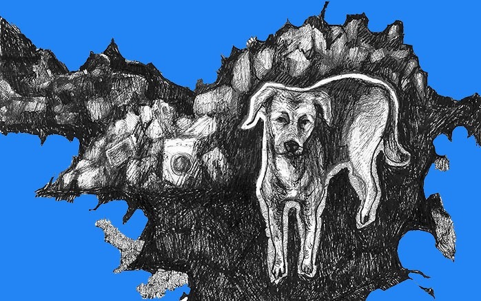 Το Νησί των Λουλουδιών σε Θήβα, Ιτέα, Γαλαξίδι